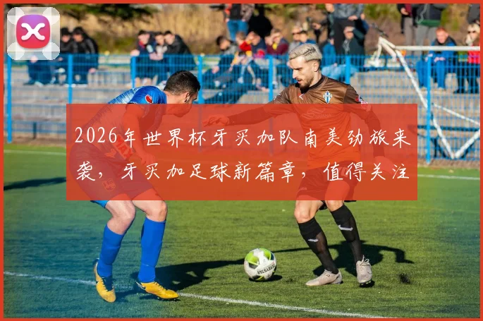 2026年世界杯牙买加队南美劲旅来袭，牙买加足球新篇章，值得关注