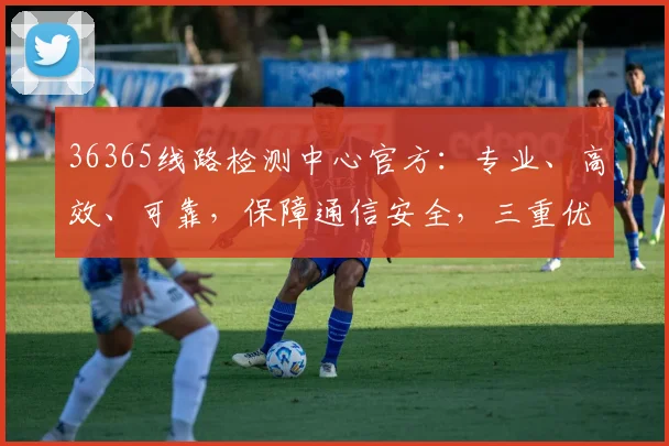 36365线路检测中心官方：专业、高效、可靠，保障通信安全，三重优势，值得信赖，服务至上。
