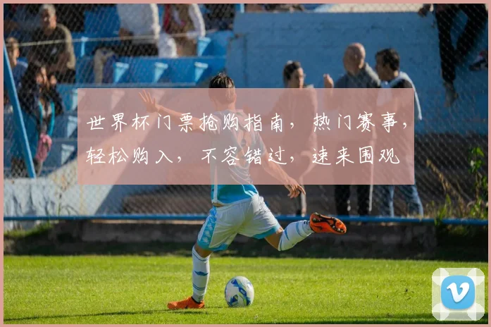世界杯门票抢购指南，热门赛事，轻松购入，不容错过，速来围观