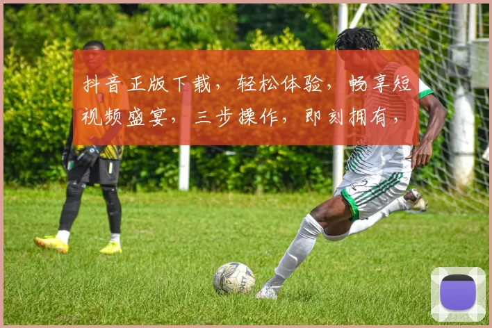 抖音正版下载，轻松体验，畅享短视频盛宴，三步操作，即刻拥有，不容错过