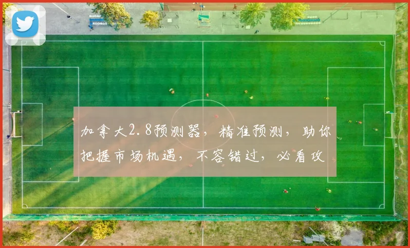 加拿大2.8预测器，精准预测，助你把握市场机遇，不容错过，必看攻略