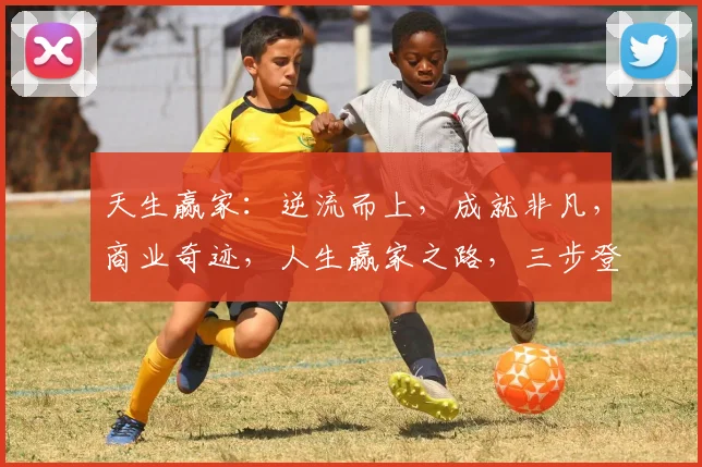 天生赢家：逆流而上，成就非凡，商业奇迹，人生赢家之路，三步登顶