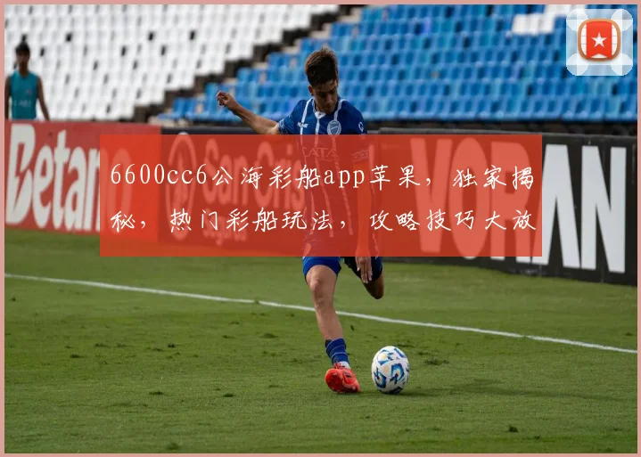 6600cc6公海彩船app苹果，独家揭秘，热门彩船玩法，攻略技巧大放送，不容错过